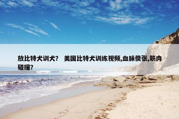 放比特犬训犬？ 美国比特犬训练视频,血脉偾张,筋肉碰撞？