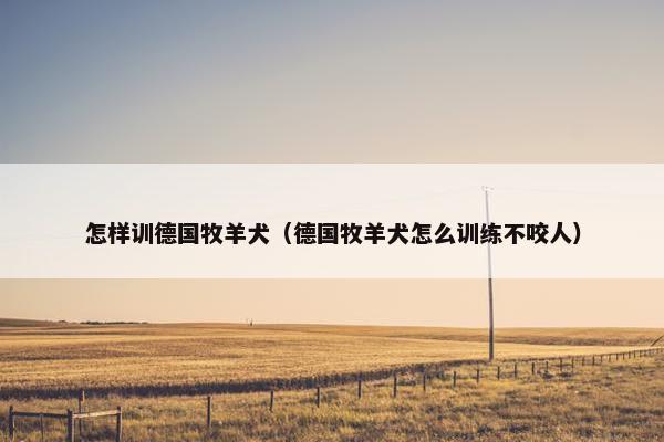 怎样训德国牧羊犬（德国牧羊犬怎么训练不咬人）