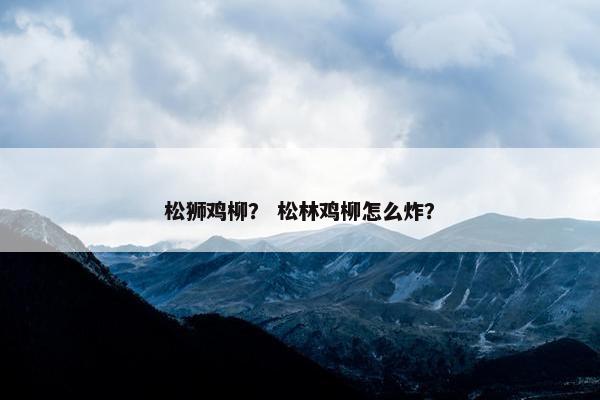 松狮鸡柳？ 松林鸡柳怎么炸？