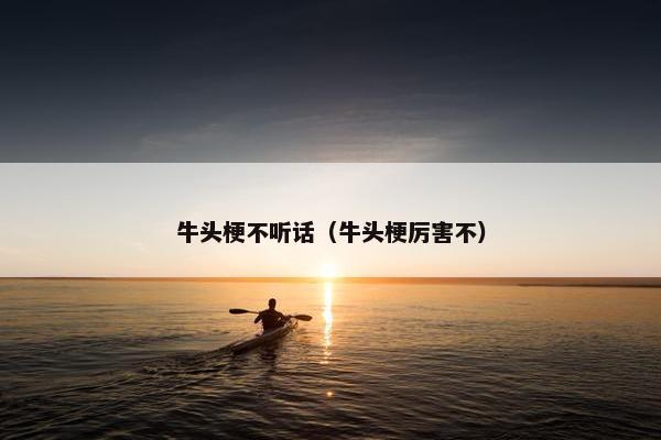 牛头梗不听话（牛头梗厉害不）