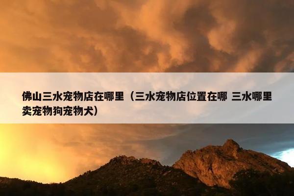 佛山三水宠物店在哪里（三水宠物店位置在哪 三水哪里卖宠物狗宠物犬）
