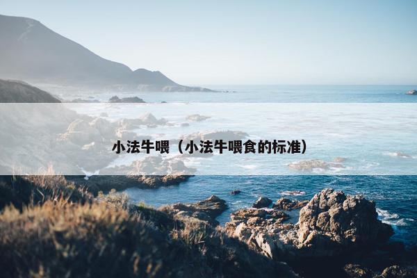 小法牛喂（小法牛喂食的标准）