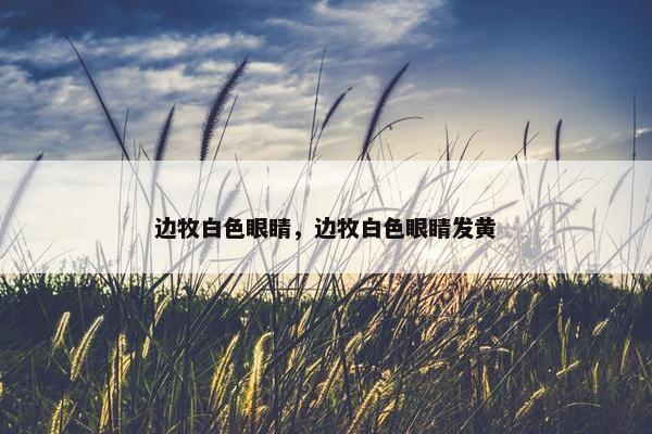 边牧白色眼睛，边牧白色眼睛发黄