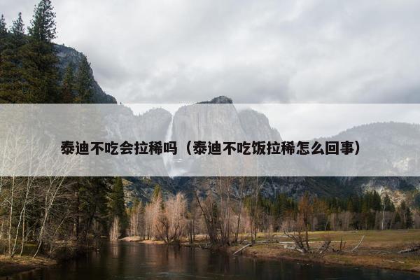 泰迪不吃会拉稀吗（泰迪不吃饭拉稀怎么回事）