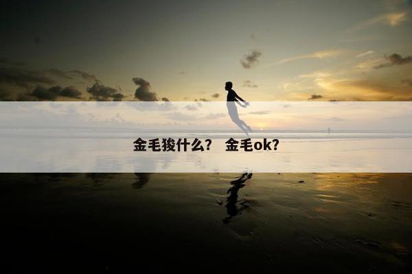 金毛狻什么？ 金毛ok？