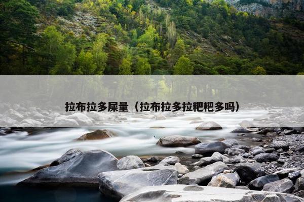 拉布拉多屎量（拉布拉多拉粑粑多吗）
