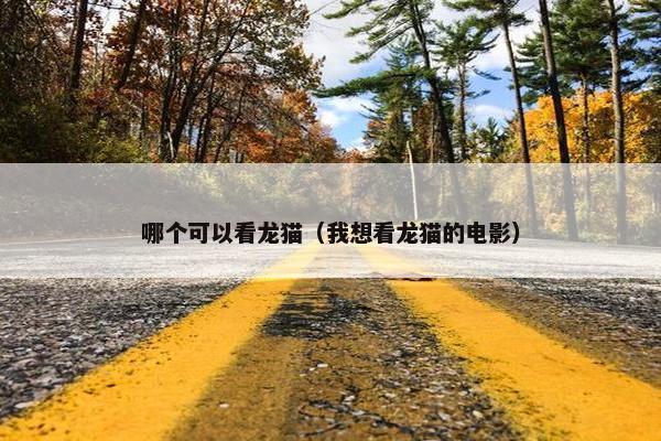 哪个可以看龙猫（我想看龙猫的电影）