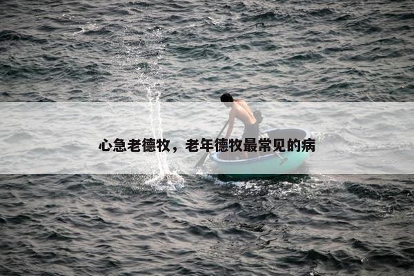 心急老德牧，老年德牧最常见的病