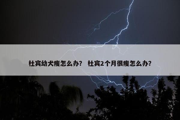 杜宾幼犬瘦怎么办？ 杜宾2个月很瘦怎么办？