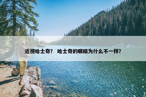 近视哈士奇？ 哈士奇的眼睛为什么不一样？