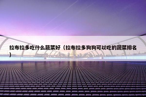 拉布拉多吃什么蔬菜好（拉布拉多狗狗可以吃的蔬菜排名）