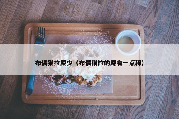 布偶猫拉屎少（布偶猫拉的屎有一点稀）