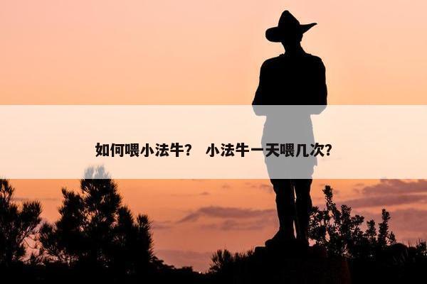 如何喂小法牛？ 小法牛一天喂几次？