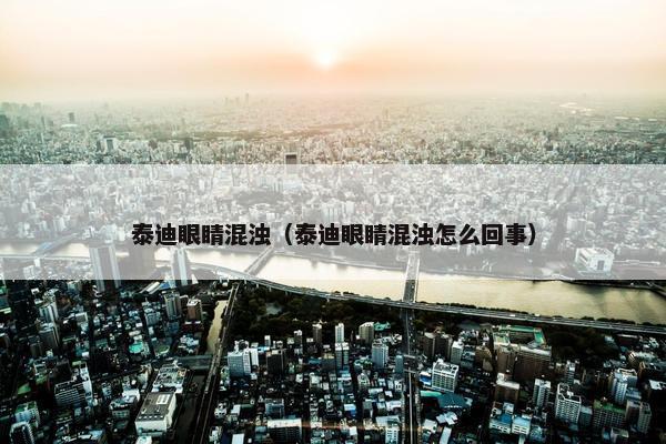 泰迪眼睛混浊（泰迪眼睛混浊怎么回事）