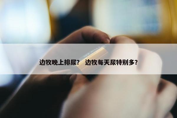 边牧晚上排尿？ 边牧每天尿特别多？