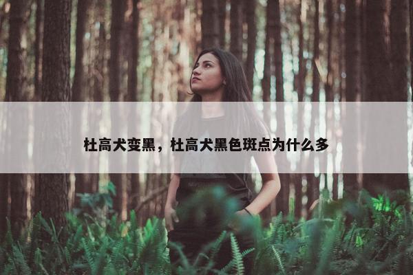 杜高犬变黑，杜高犬黑色斑点为什么多