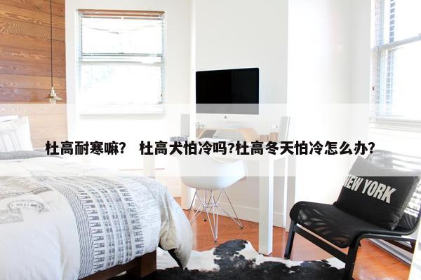 杜高耐寒嘛？ 杜高犬怕冷吗?杜高冬天怕冷怎么办？