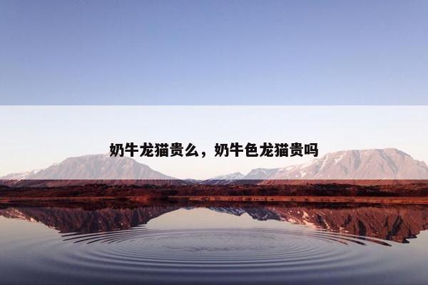 奶牛龙猫贵么，奶牛色龙猫贵吗
