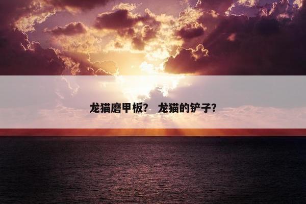 龙猫磨甲板？ 龙猫的铲子？