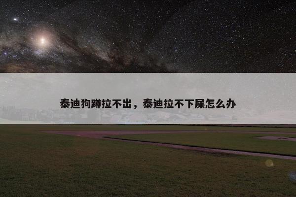 泰迪狗蹲拉不出，泰迪拉不下屎怎么办