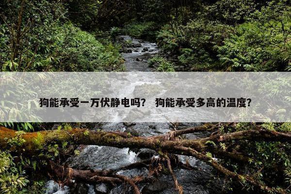 狗能承受一万伏静电吗？ 狗能承受多高的温度？