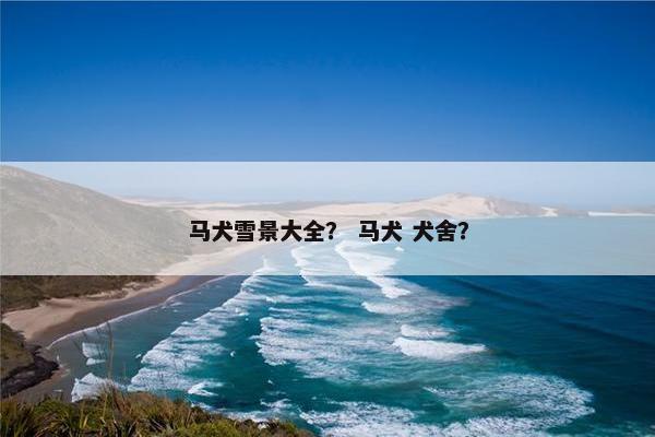 马犬雪景大全？ 马犬 犬舍？