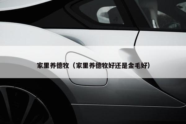 家里养德牧（家里养德牧好还是金毛好）