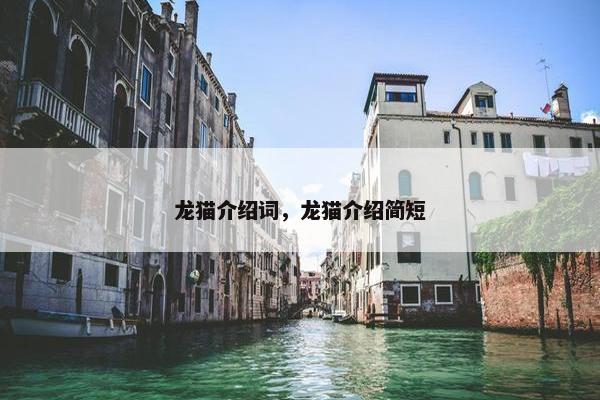 龙猫介绍词，龙猫介绍简短