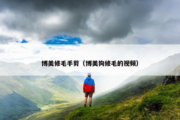 博美修毛手剪（博美狗修毛的视频）