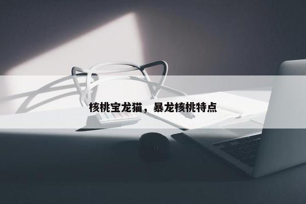 核桃宝龙猫，暴龙核桃特点