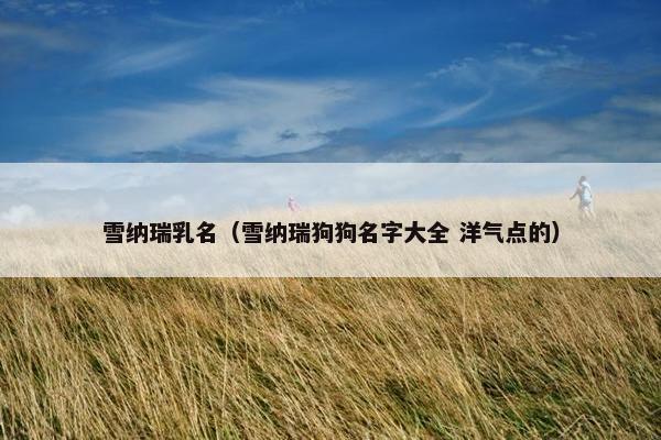雪纳瑞乳名（雪纳瑞狗狗名字大全 洋气点的）