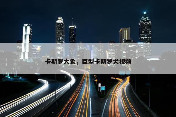 卡斯罗大象，巨型卡斯罗犬视频
