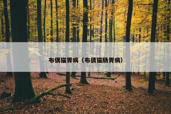 布偶猫胃病（布偶猫肠胃病）