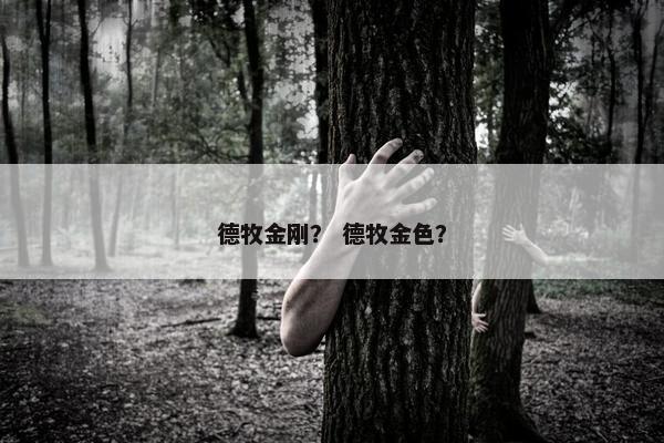 德牧金刚？ 德牧金色？