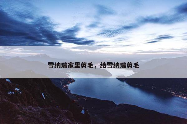 雪纳瑞家里剪毛，给雪纳瑞剪毛