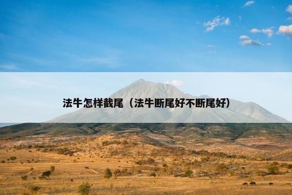 法牛怎样截尾（法牛断尾好不断尾好）