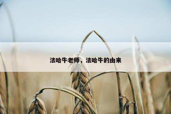 法哈牛老师，法哈牛的由来