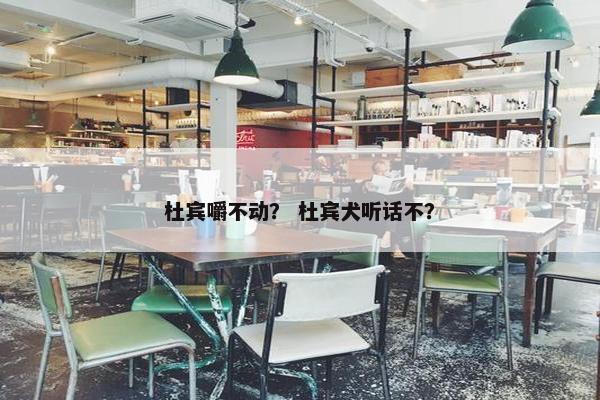 杜宾嚼不动？ 杜宾犬听话不？
