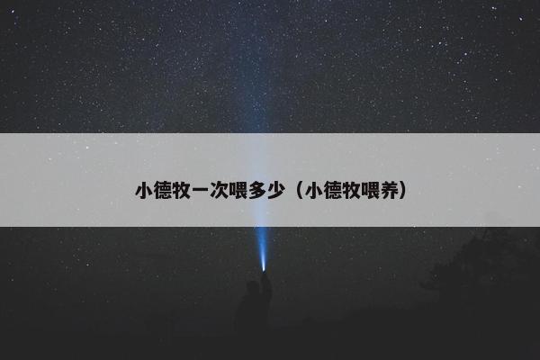 小德牧一次喂多少（小德牧喂养）