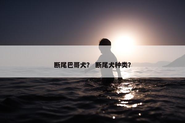 断尾巴哥犬？ 断尾犬种类？