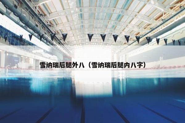 雪纳瑞后腿外八（雪纳瑞后腿内八字）