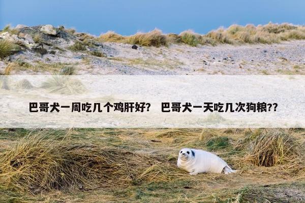 巴哥犬一周吃几个鸡肝好？ 巴哥犬一天吃几次狗粮?？
