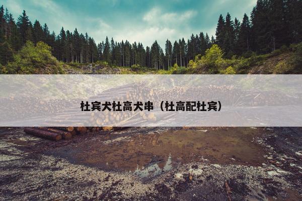 杜宾犬杜高犬串（杜高配杜宾）
