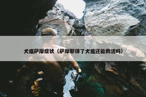 犬瘟萨摩症状（萨摩耶得了犬瘟还能救活吗）