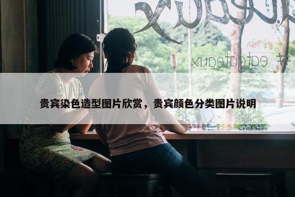 贵宾染色造型图片欣赏，贵宾颜色分类图片说明