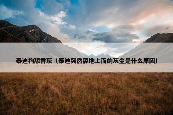 泰迪狗舔香灰（泰迪突然舔地上面的灰尘是什么原因）