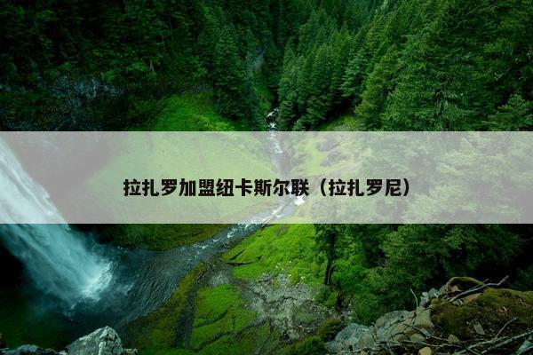拉扎罗加盟纽卡斯尔联（拉扎罗尼）