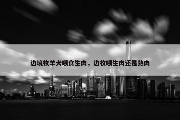 边境牧羊犬喂食生肉，边牧喂生肉还是熟肉