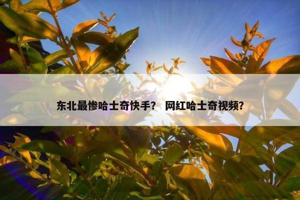 东北最惨哈士奇快手？ 网红哈士奇视频？
