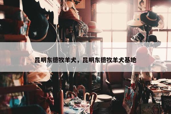 昆明东德牧羊犬，昆明东德牧羊犬基地